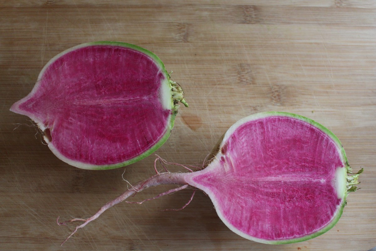 The year of the&nbsp;plant